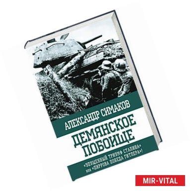 Фото Демянское побоище. «Упущенный триумф Сталина» или «пиррова победа Гитлера»?'