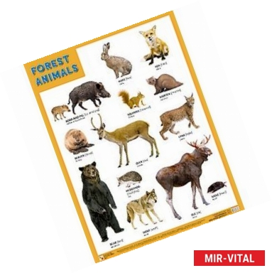 Фото Плакат Forest animals (Лесные обитатели)