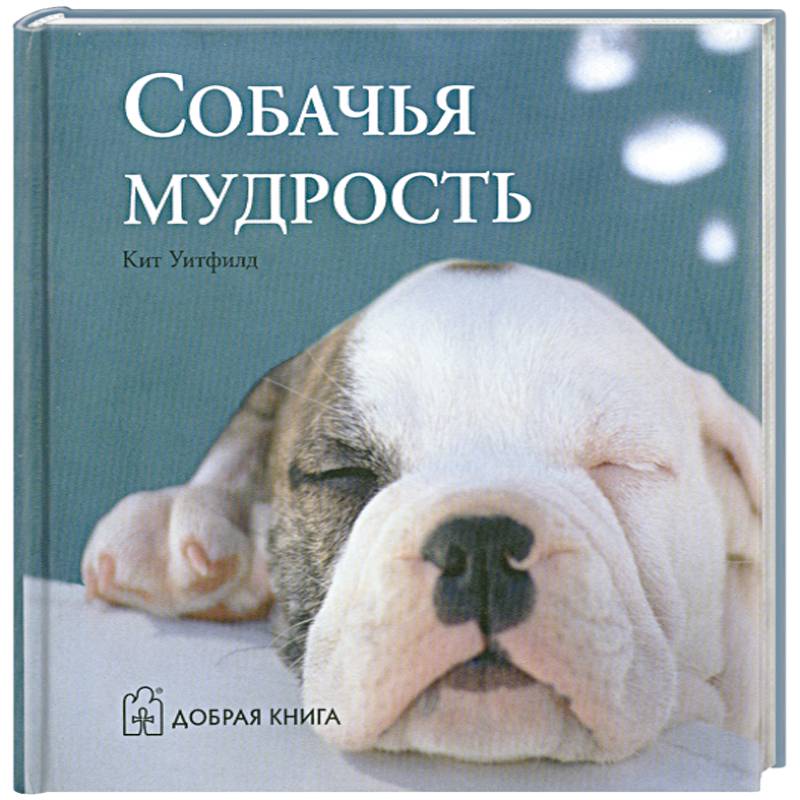 Фото Собачья мудрость