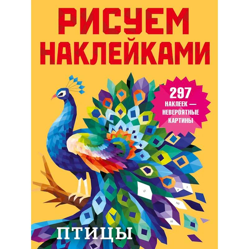 Фото Птицы