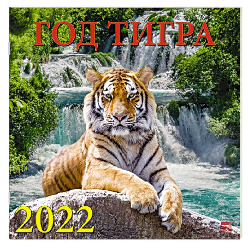 Фото 2022 Календарь Год тигра
