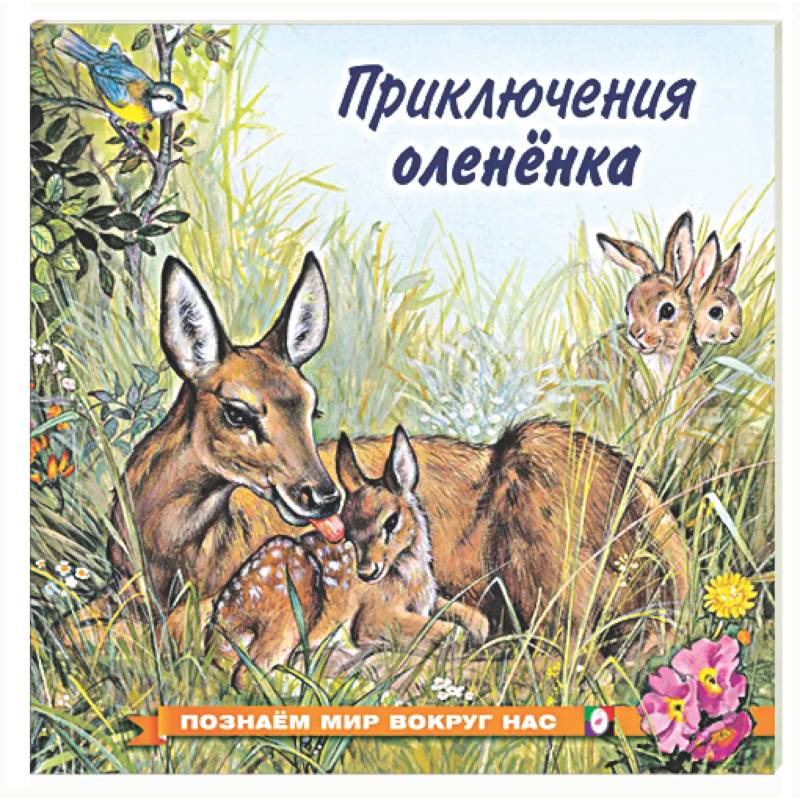 Фото Приключения оленёнка