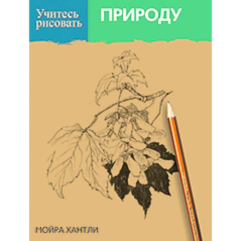 Фото Учитесь рисовать природу