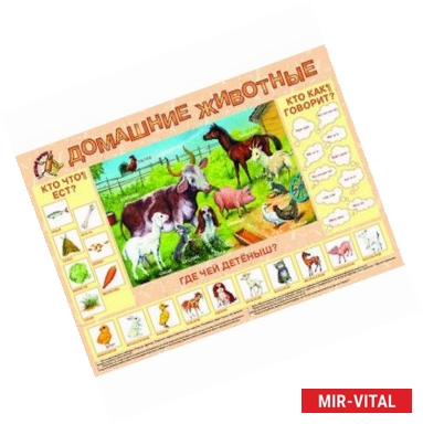 Фото Домашние животные. Плакат