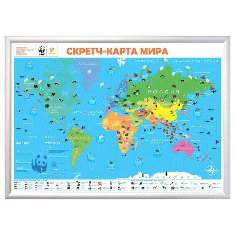 Фото Скретч-карта мира А1 'WWF. Blue Edition'
