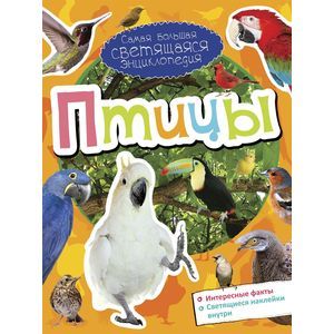 Фото Птицы