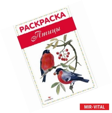 Фото Птицы. Раскраска