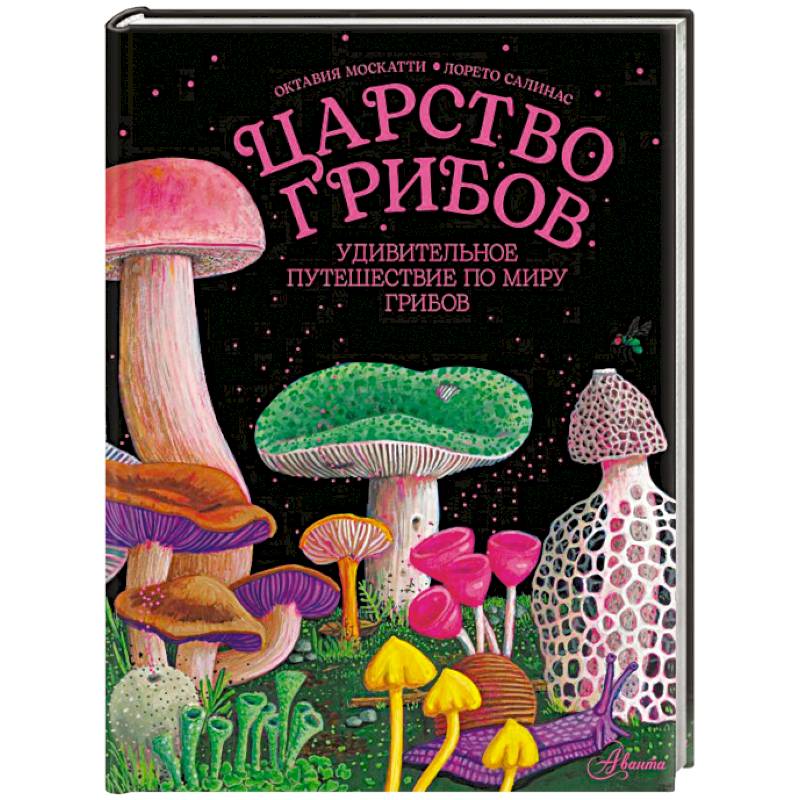 Фото Царство грибов