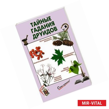 Фото Тайные гадания друидов