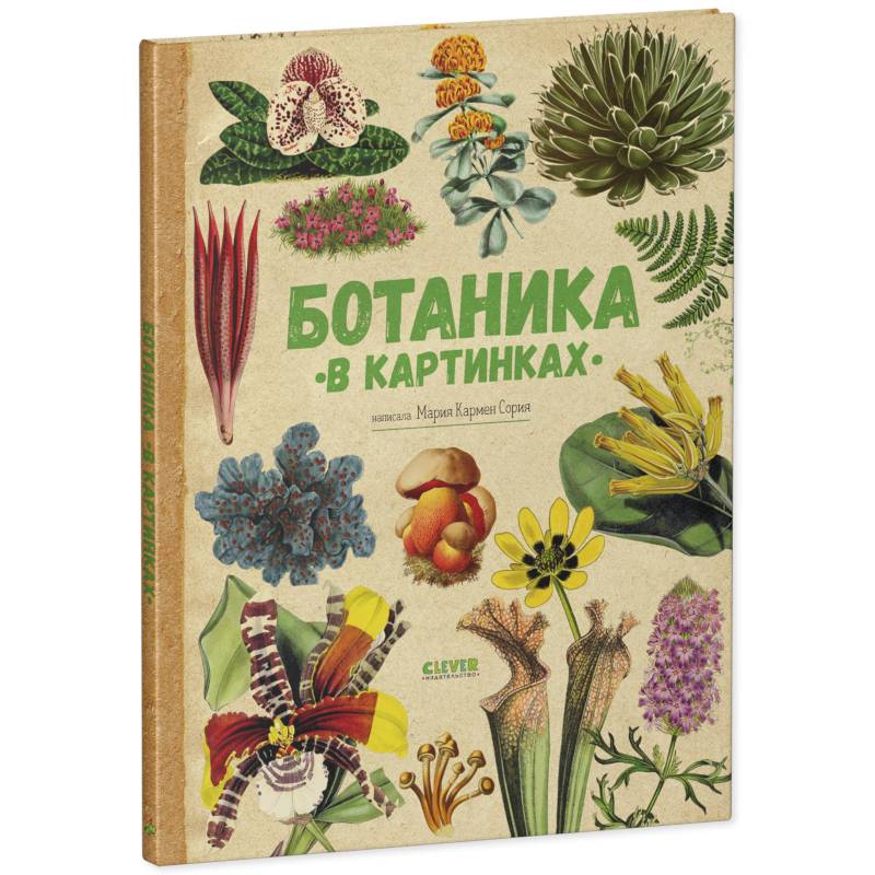 Фото Ботаника в картинках