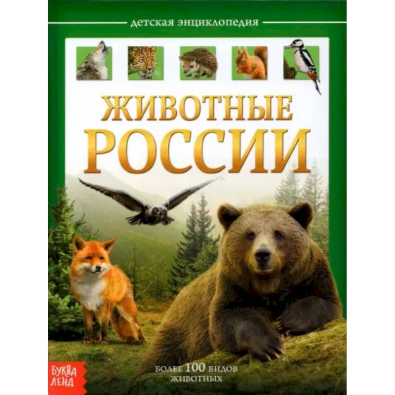 Фото Детская энциклопедия «Животные России»