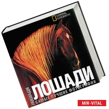 Фото Лошади. Самые лучшие фотографии