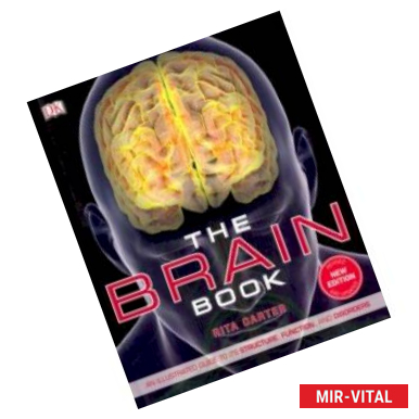 Фото Brain Book. An illustrated guide to the structure, function, and disorders of the brain