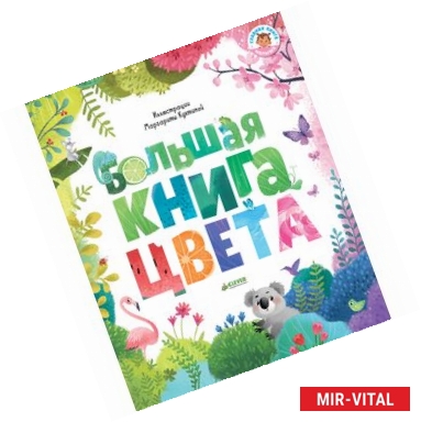 Фото Большая книга. Цвета