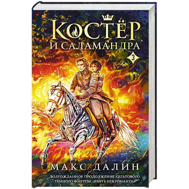 Фото Костер и Саламандра. Книга 3