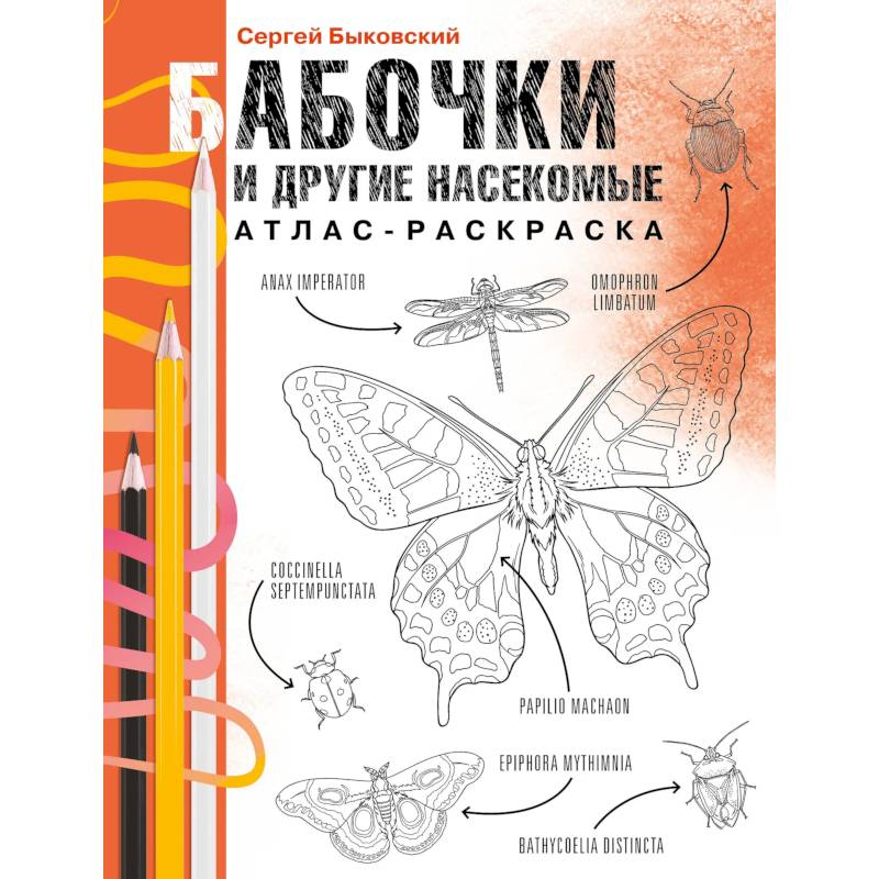 Фото Бабочки и другие насекомые. Атлас-раскраска