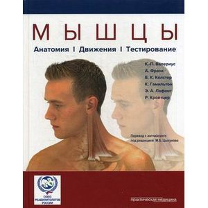 Фото Мышцы. Анатомия. Движения. Тестирование