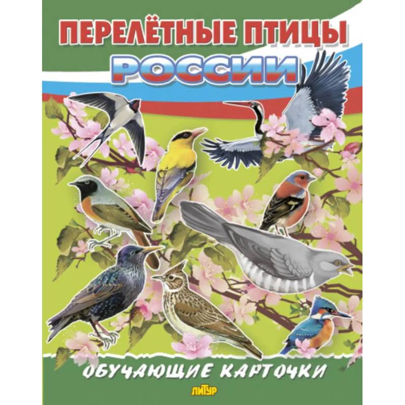 Фото Перелетные птицы России
