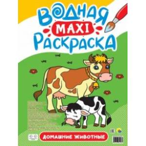 Фото Водная макси-раскраска. Домашние животные