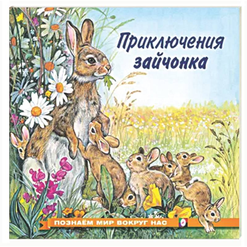 Фото Приключения зайчонка