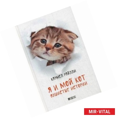 Фото Я и мой кот. Пушистые истории