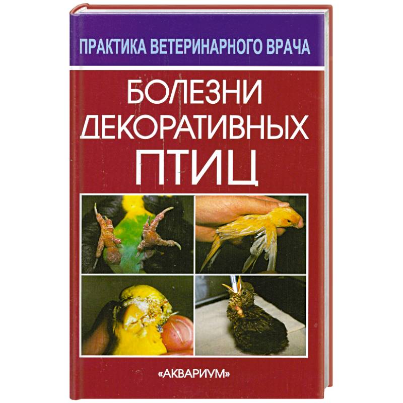Фото Болезни декоративных птиц