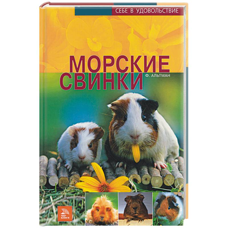 Фото Морские свинки