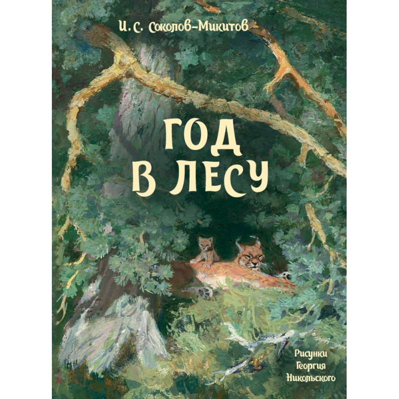 Фото Год в лесу