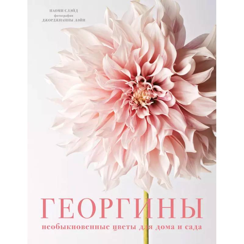 Фото Георгины. Необыкновенные цветы для дома и сада