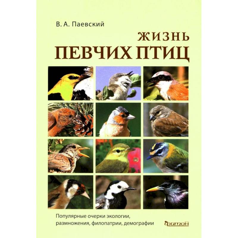 Фото Жизнь певчих птиц
