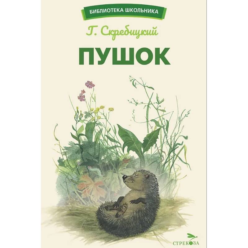 Фото Пушок