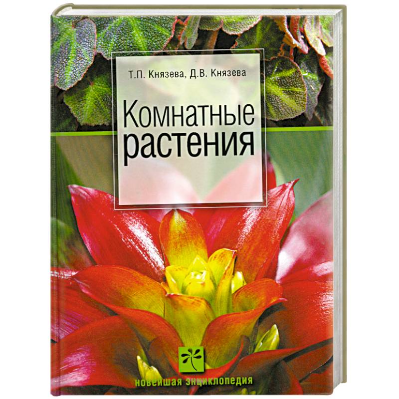 Фото Комнатные растения