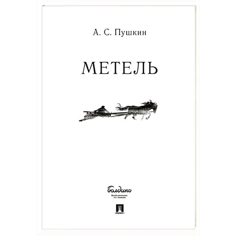 Фото Метель