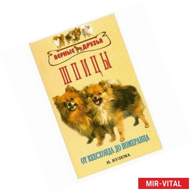 Фото Шпицы