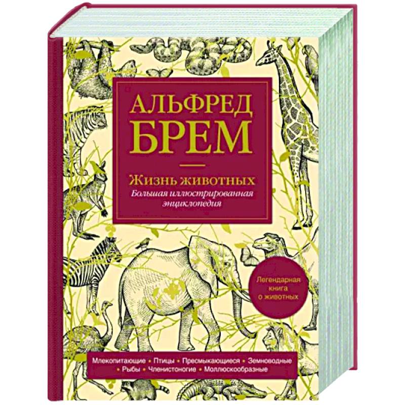 Фото Жизнь животных. Большая иллюстрированная энциклопедия