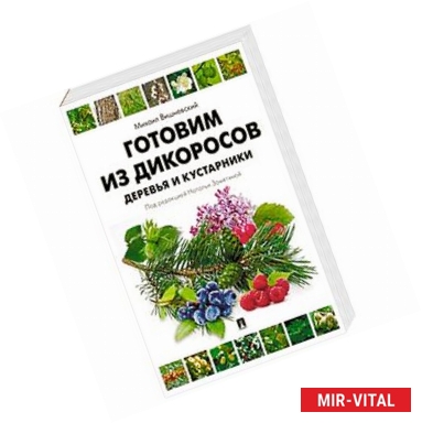 Фото Готовим из дикоросов. Деревья и кустарники