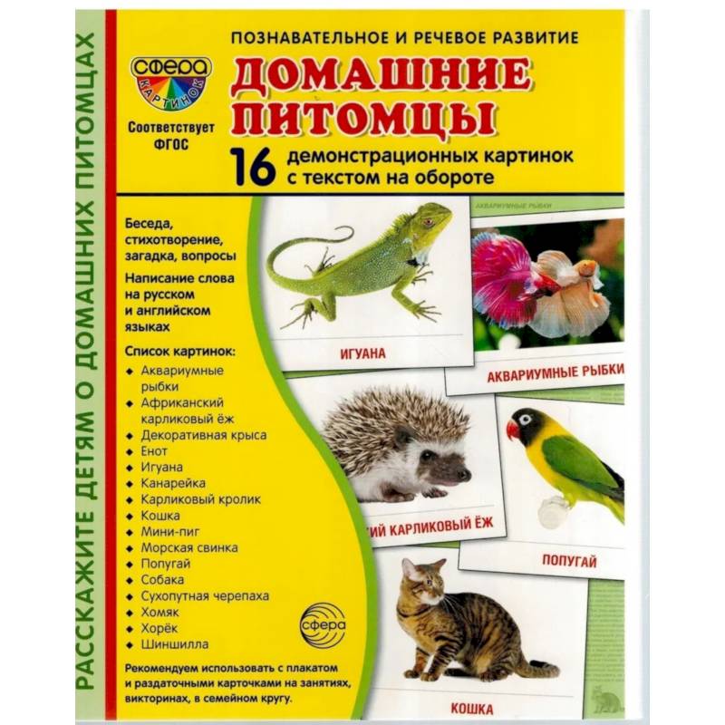 Фото Демонстрационные картинки. Домашние питомцы: 16 демонстрационных картинок с текстом
