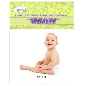 Фото Человек. Мои первые английские слова (набор из 12 карточек)