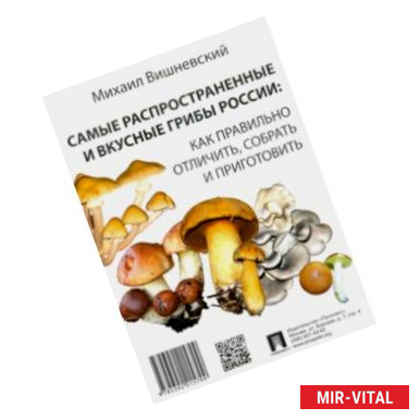 Фото Самые распространенные и вкусные грибы России. Как правильно отличить, собрать и приготовить