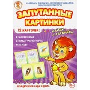 Фото Насекомые-Виды транспорта-Птицы. Запутанные картинки