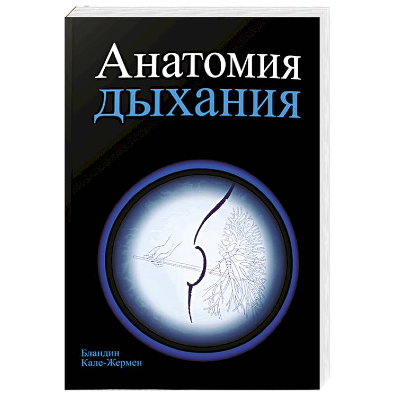 Фото Анатомия дыхания