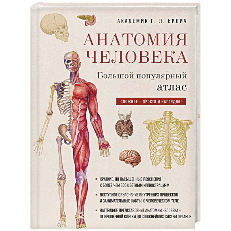 Фото Анатомия человека: большой популярный атлас