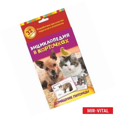 Фото Домашние питомцы