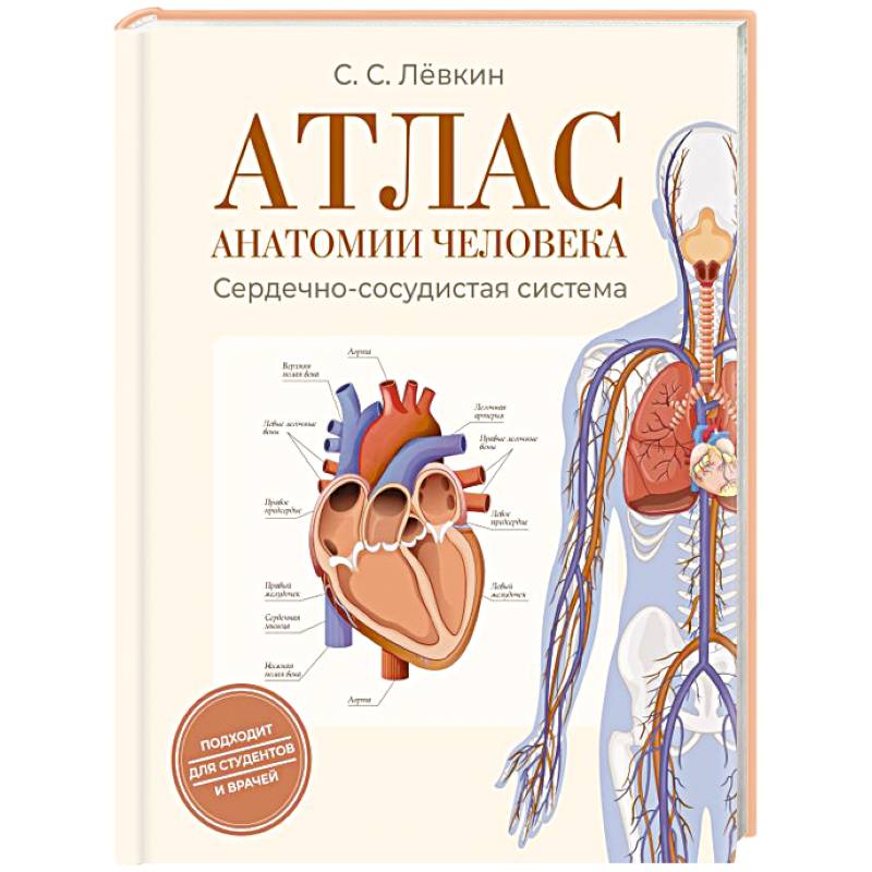 Фото Атлас анатомии человека. Сердечно-сосудистая система