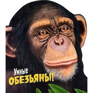 Фото Умные обезьяны!