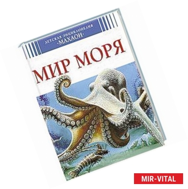 Фото Мир моря