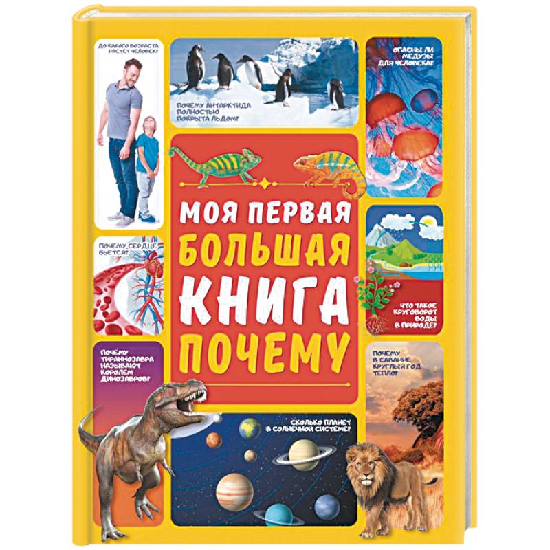 Фото Моя первая большая книга ПОЧЕМУ