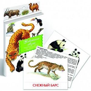 Фото Дидактические карточки. Животные Азии