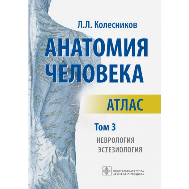 Фото Анатомия человека. Атлас. В 3-х томах. Том 3. Неврология, эстезиология
