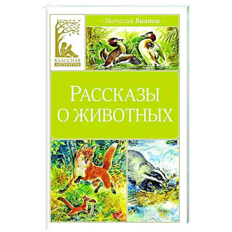 Фото Рассказы о животных